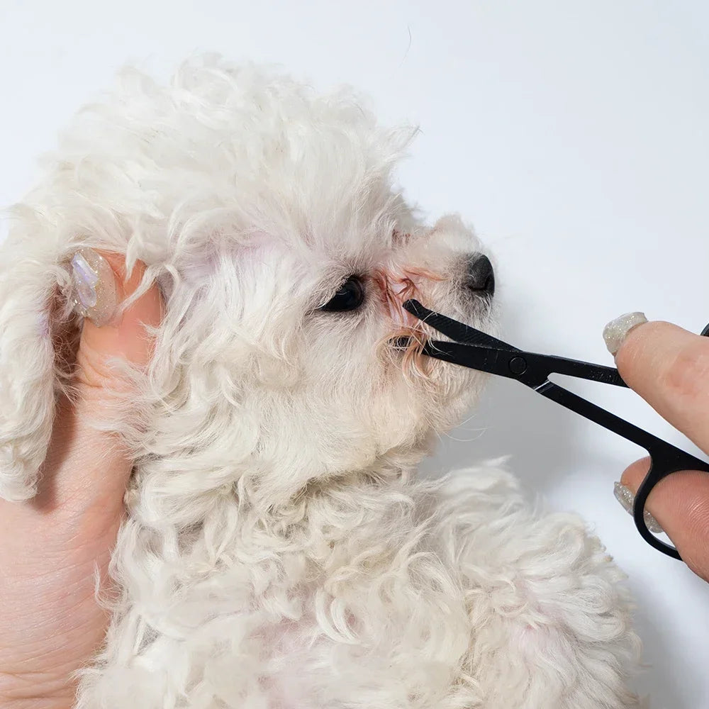 Pet facial cleaning comb