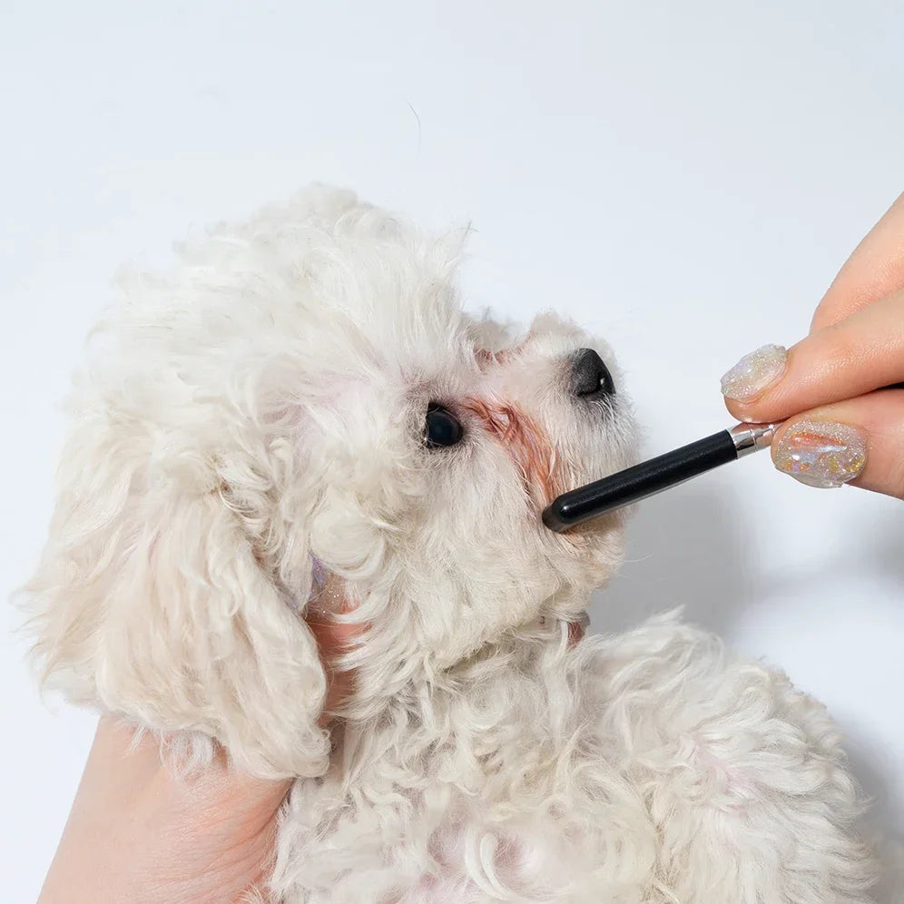 Pet facial cleaning comb